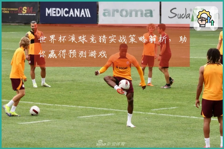 世界杯滚球竞猜实战策略解析，助你赢得预测游戏