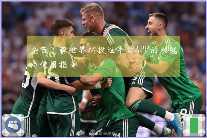全面了解世界杯投注平台APP的功能与使用指南