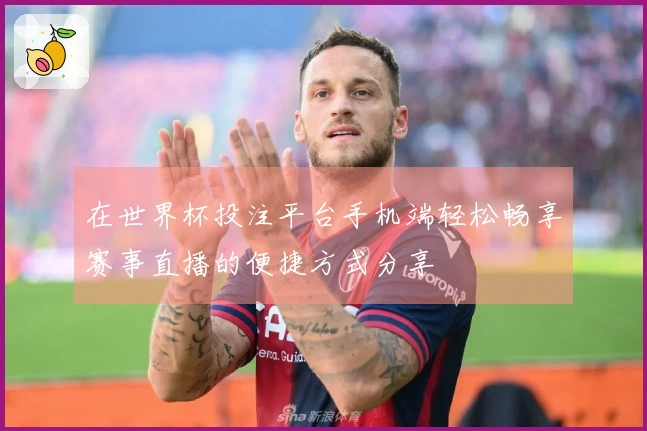 在世界杯投注平台手机端轻松畅享赛事直播的便捷方式分享