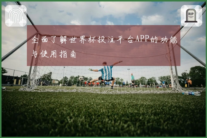全面了解世界杯投注平台APP的功能与使用指南