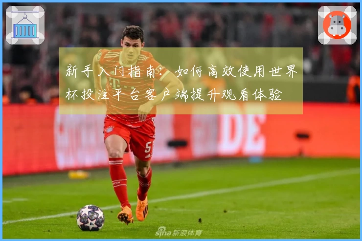 新手入门指南:如何高效使用世界杯投注平台客户端提升观看体验