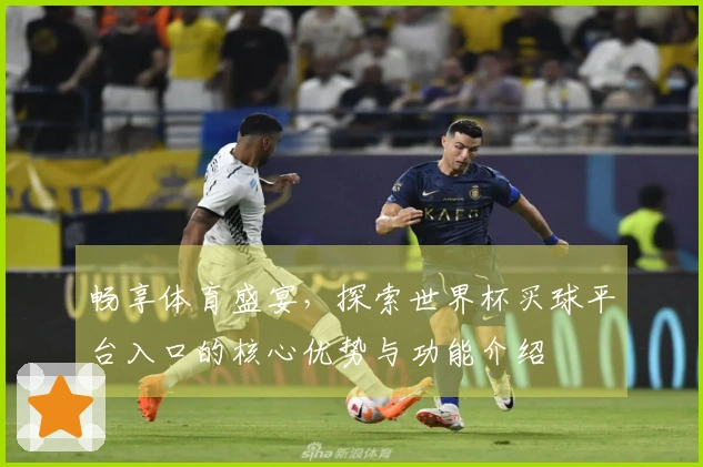 畅享体育盛宴，探索世界杯买球平台入口的核心优势与功能介绍