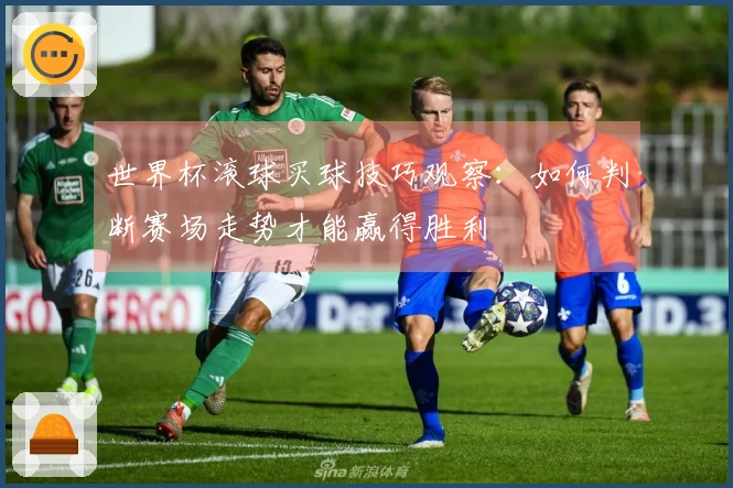 世界杯滚球买球技巧观察：如何判断赛场走势才能赢得胜利