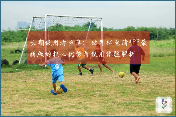 长期使用者分享：世界杯竞猜APP最新版的核心优势与使用体验解析