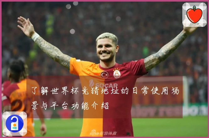 了解世界杯竞猜地址的日常使用场景与平台功能介绍