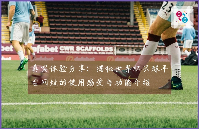 真实体验分享：揭秘世界杯买球平台网址的使用感受与功能介绍