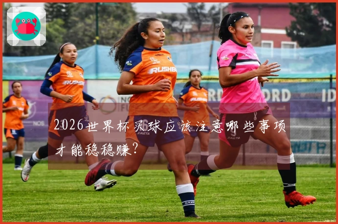 2026世界杯买球应该注意哪些事项才能稳稳赚？