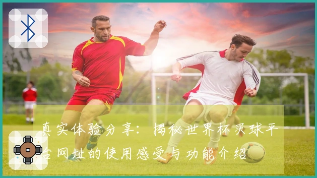 真实体验分享：揭秘世界杯买球平台网址的使用感受与功能介绍