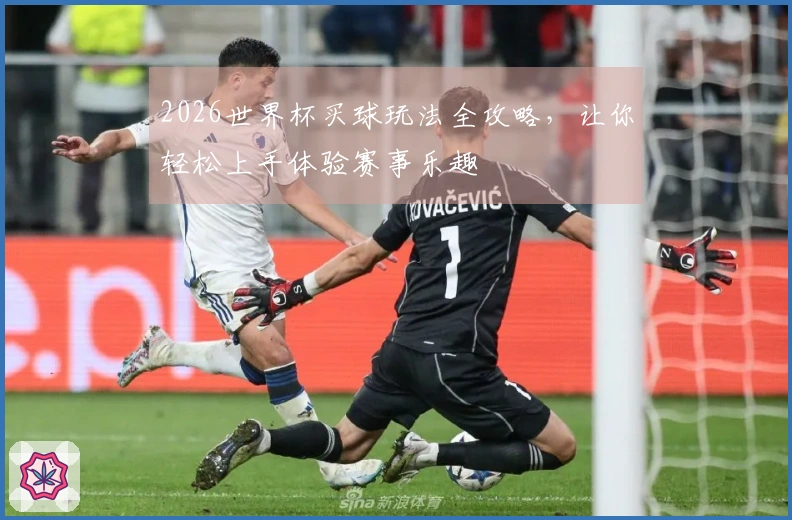 2026世界杯买球玩法全攻略，让你轻松上手体验赛事乐趣