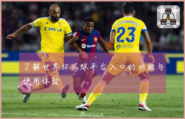 了解世界杯买球平台入口的功能与使用体验