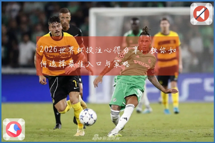 2026世界杯投注心得分享，教你如何选择最佳入口与策略