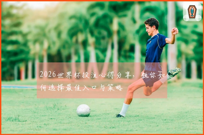 2026世界杯投注心得分享，教你如何选择最佳入口与策略