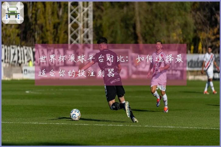 世界杯滚球平台对比：如何选择最适合你的投注利器