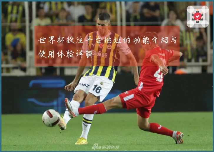 世界杯投注平台地址的功能介绍与使用体验详解