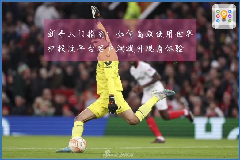 新手入门指南：如何高效使用世界杯投注平台客户端提升观看体验