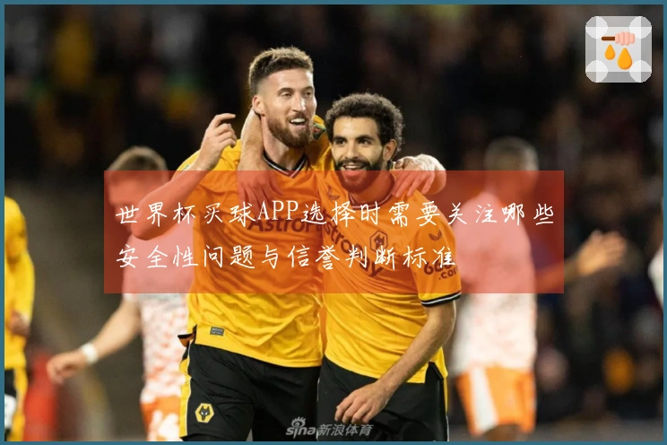 世界杯买球APP选择时需要关注哪些安全性问题与信誉判断标准